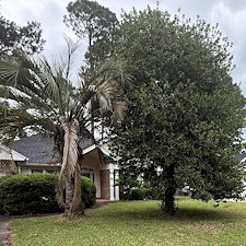 Tree-trimming-Pressure-Washing-Leaf-Blowing-in-Myrtle-Beach-SC 11